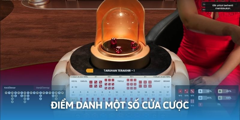 Tổng hợp một số cửa cược cơ bản trong trò chơi