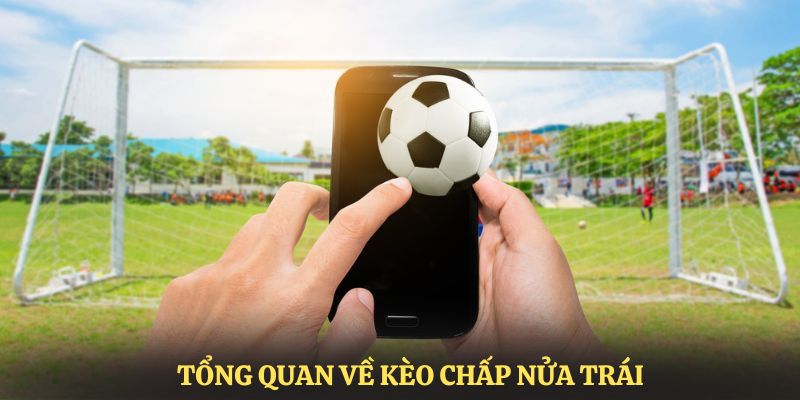 Tổng quan vài nét chung về chấp nửa trái